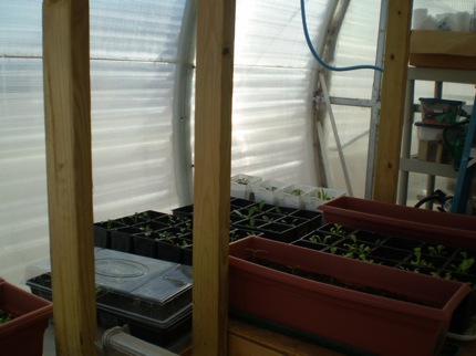 MDRS: Greenhouse